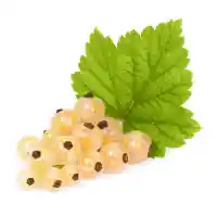 rybíz1